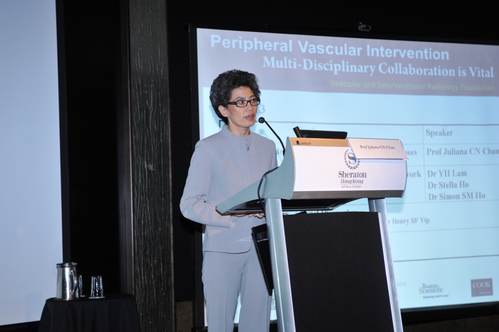 VIRF-Congress3-2008-14